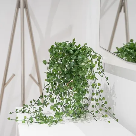 Guestready - Terrace * Rio Tinto